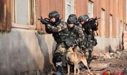 特勤中队在线观看,线上揭秘英勇无畏的消防英雄